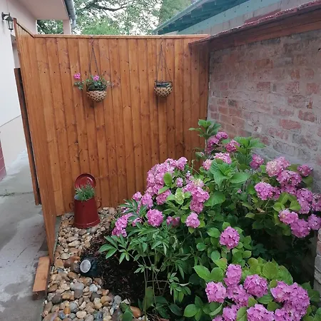 Nonna Vendeghaz Ostřihom