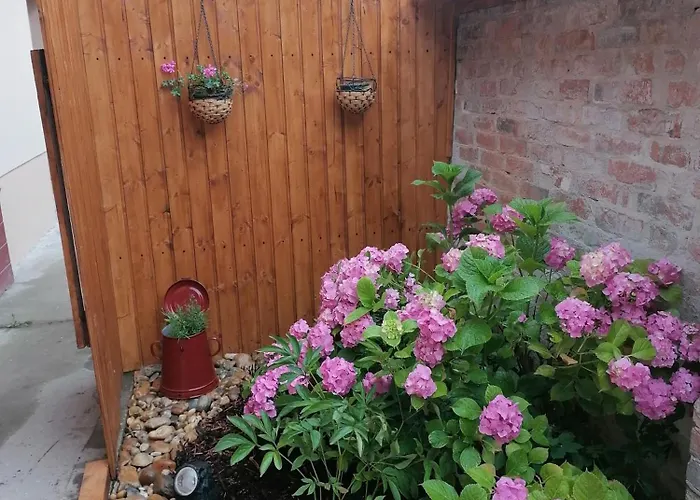 Nonna Vendeghaz Estergon